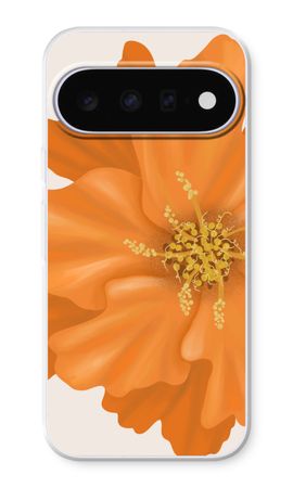 Orange Ellila flower