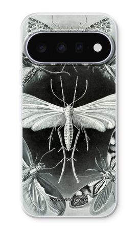 Haeckel Tineida