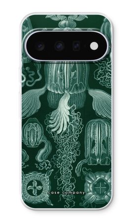 Haeckel Cubomedusae