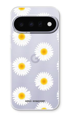 Daisies