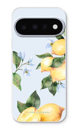 Orchard Sun