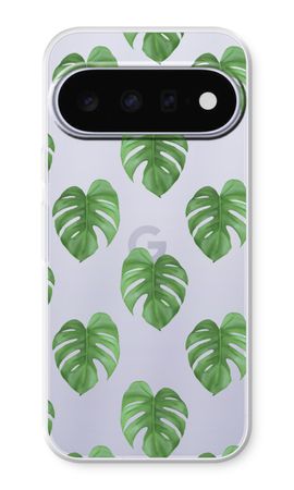 Monstera leaves
