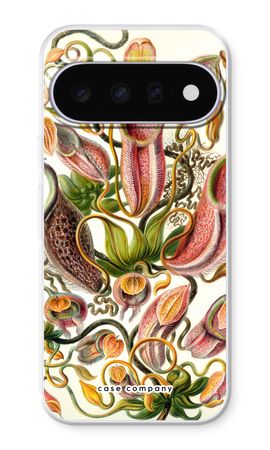 Haeckel Nepenthaceae