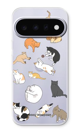 Cats