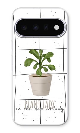 Houseplant on windowpane