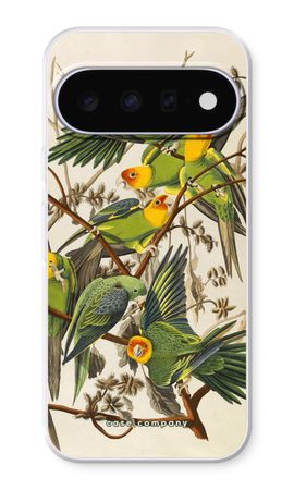 Carolina Parrot