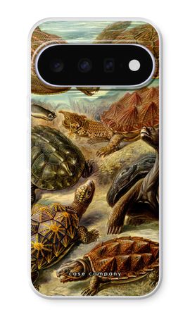 Haeckel Chelonia