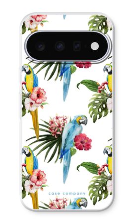 Colourful parrots