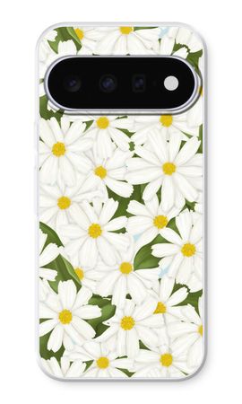 Summer Daisies