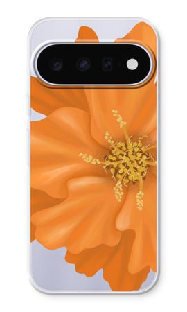 Orange Ellila flower