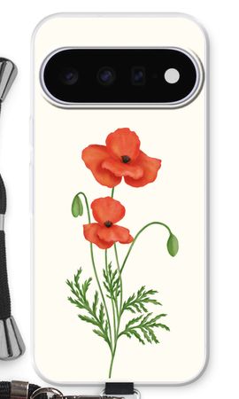 Red poppy