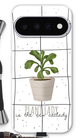 Houseplant on windowpane