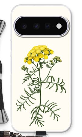 Tansy