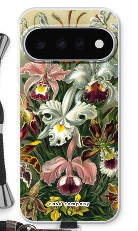 Haeckel Orchidae