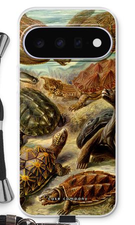 Haeckel Chelonia