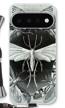 Haeckel Tineida