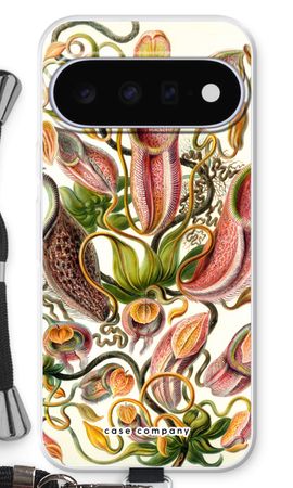 Haeckel Nepenthaceae