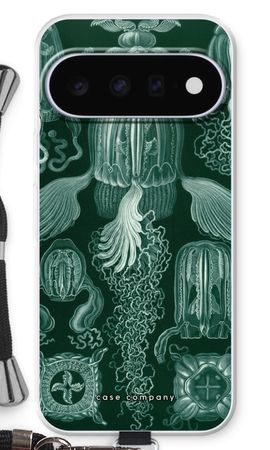Haeckel Cubomedusae