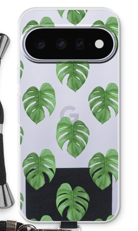 Monstera leaves