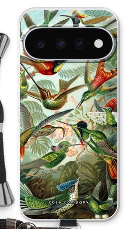 Haeckel Trochilidae