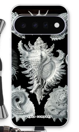 Haeckel Prosobranchia