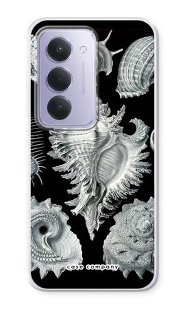 Haeckel Prosobranchia