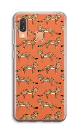 Cheetah