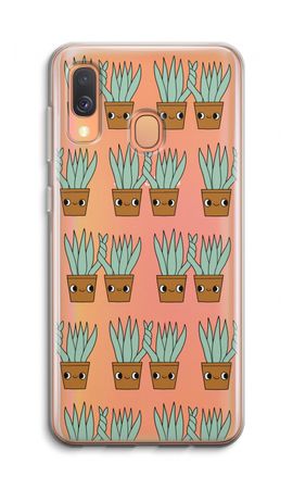 Sansevieria