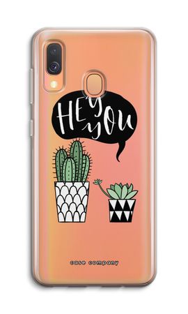 Hey you cactus