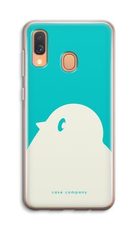 BIG Robin 2