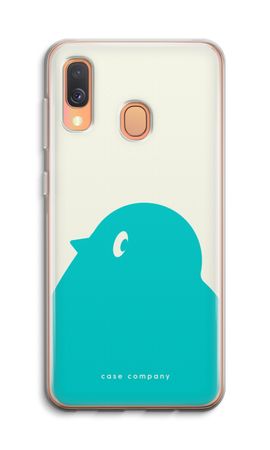 BIG Robin 1