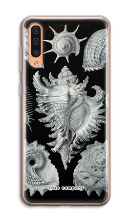 Haeckel Prosobranchia