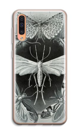 Haeckel Tineida