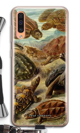 Haeckel Chelonia