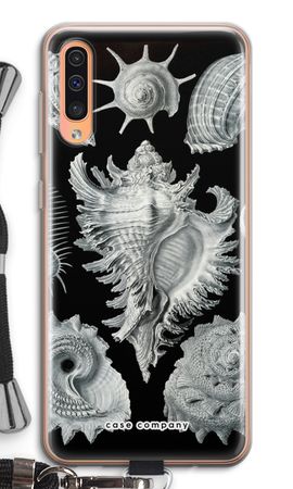 Haeckel Prosobranchia