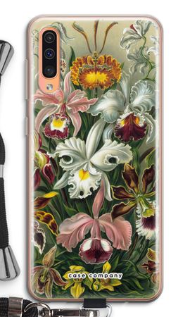 Haeckel Orchidae