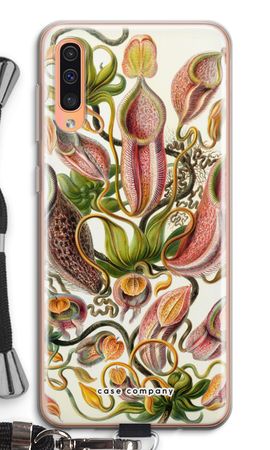 Haeckel Nepenthaceae