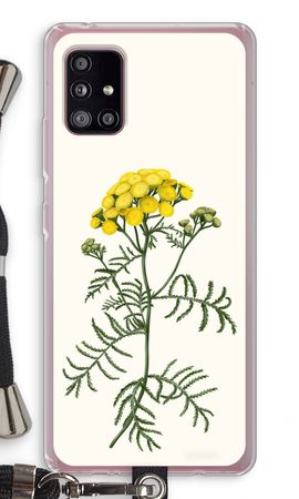 Tansy