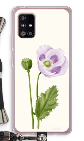Purple poppy