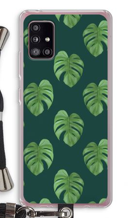Monstera leaves