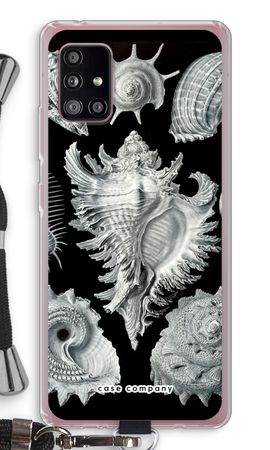 Haeckel Prosobranchia