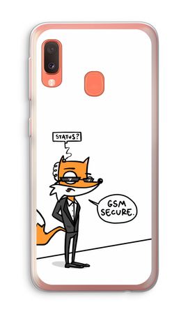 GSM secure