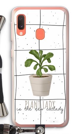 Houseplant on windowpane