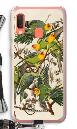 Carolina Parrot