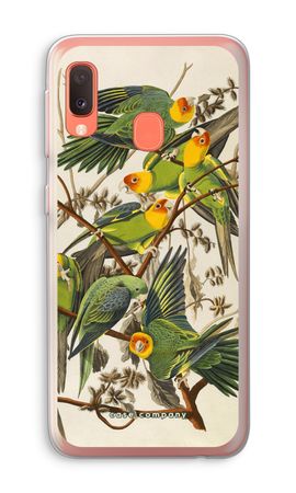 Carolina Parrot