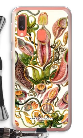 Haeckel Nepenthaceae