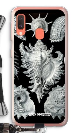 Haeckel Prosobranchia