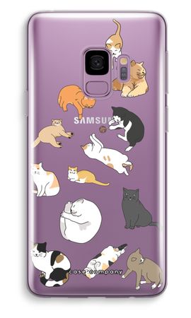 Cats