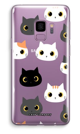Cats