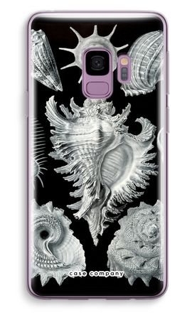 Haeckel Prosobranchia